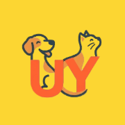 UYWAY Icon Logo